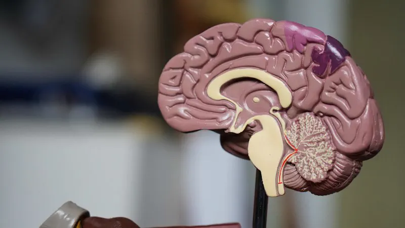 TMS therapy treatment session at a psychiatry clinic